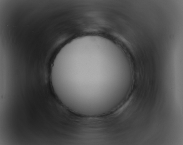 X0000096991306200802080911