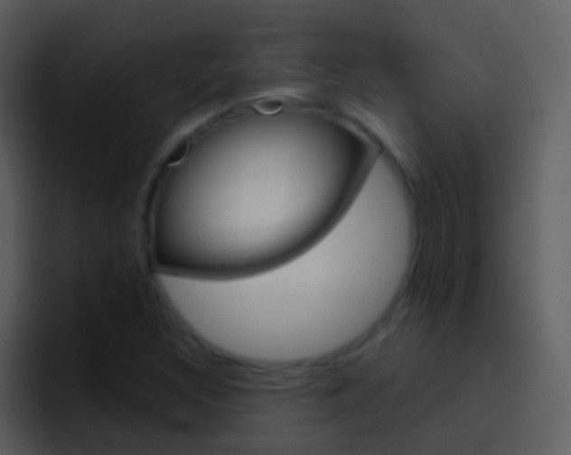 X0000096991308200802080911