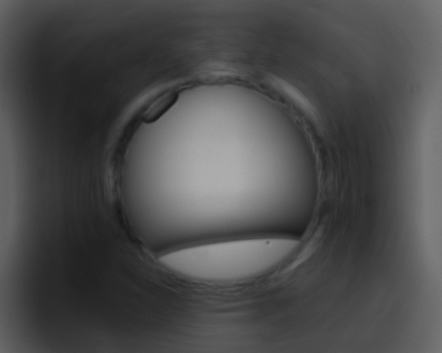 X0000096991310200802080911
