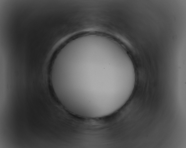 X0000096991311200802080911