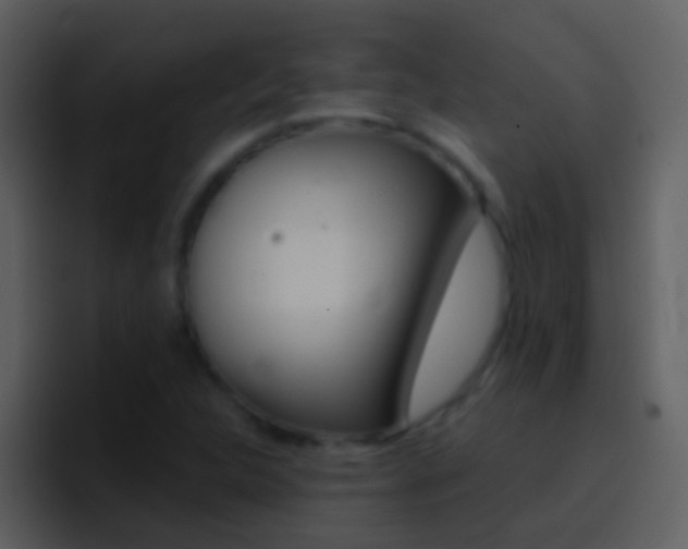 X0000096991312200802080911