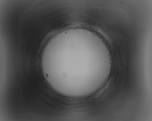 X0000096991314200802080911