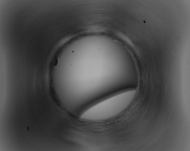 X0000096991315200802080911