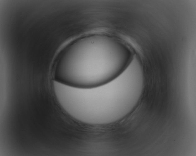 X0000096991316200802080911