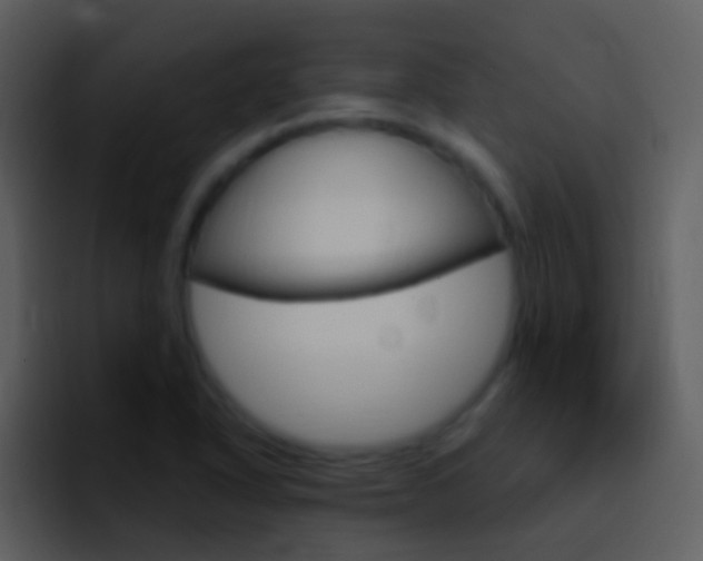 X0000096991318200802080911