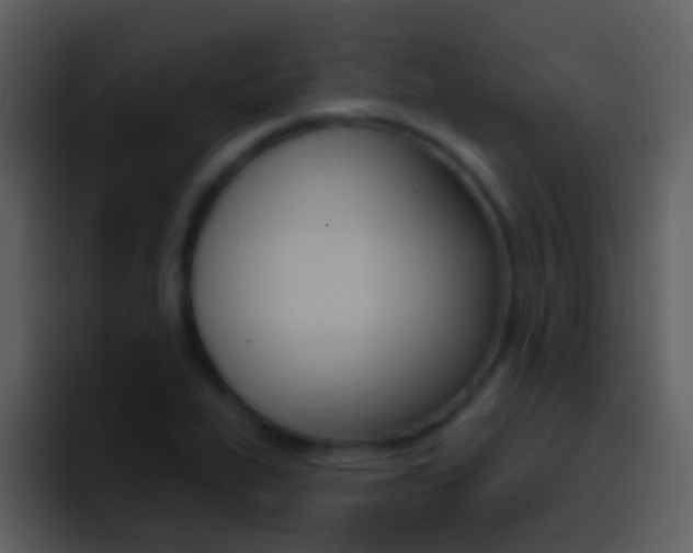 X0000096991319200802080911