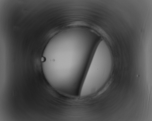X0000096991321200802080911