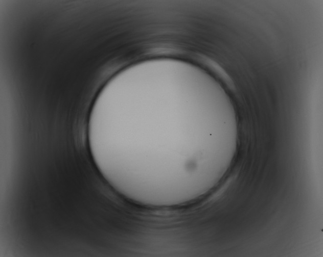 X0000096991322200802080911