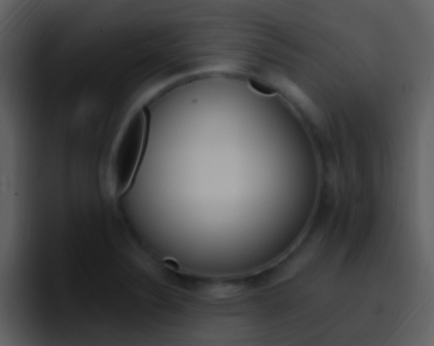 X0000096991324200802080911