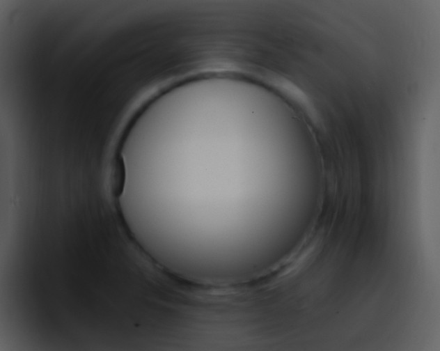 X0000096991326200802080911