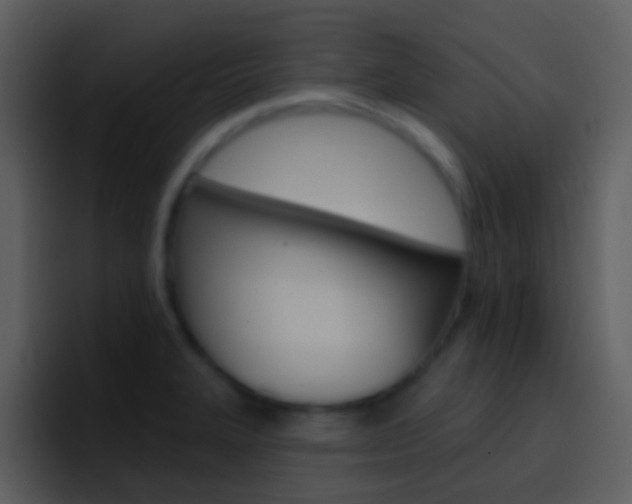 X0000096991327200802080912
