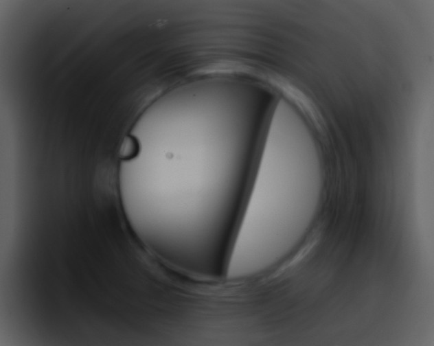 X0000096991329200802080912