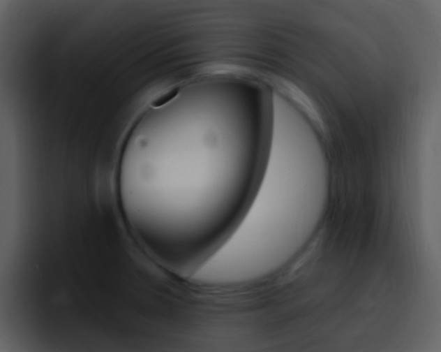 X0000096991330200802080912
