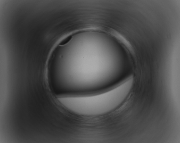 X0000096991332200802080912