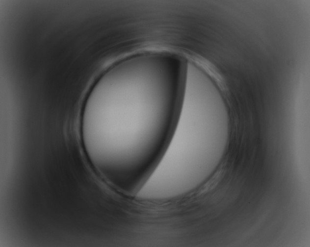 X0000096991334200802080912