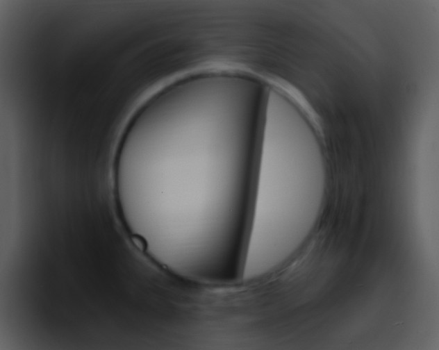 X0000096991335200802080912