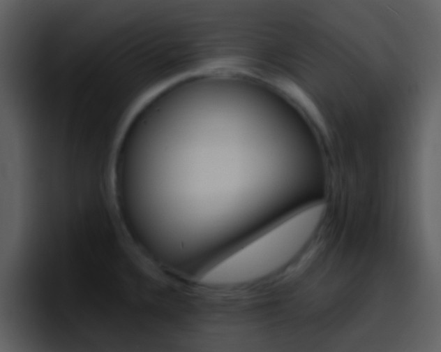 X0000096991336200802080912