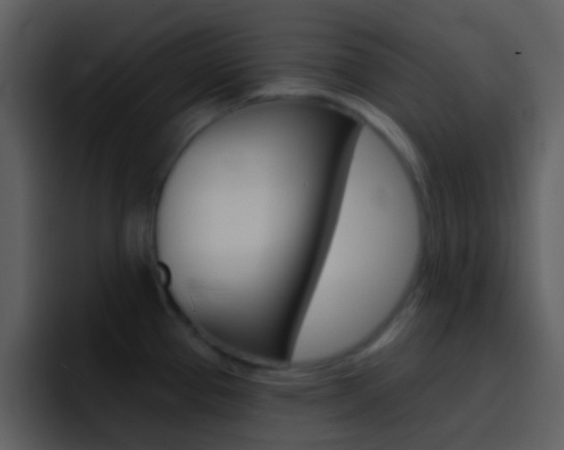 X0000096991337200802080912