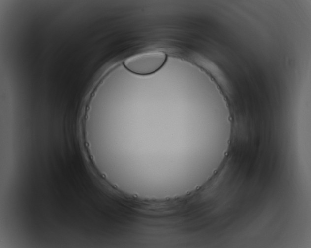 X0000096991338200802080912