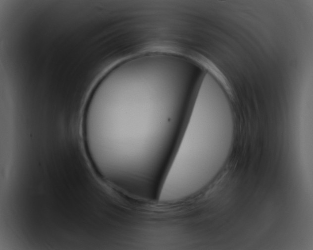 X0000096991339200802080912