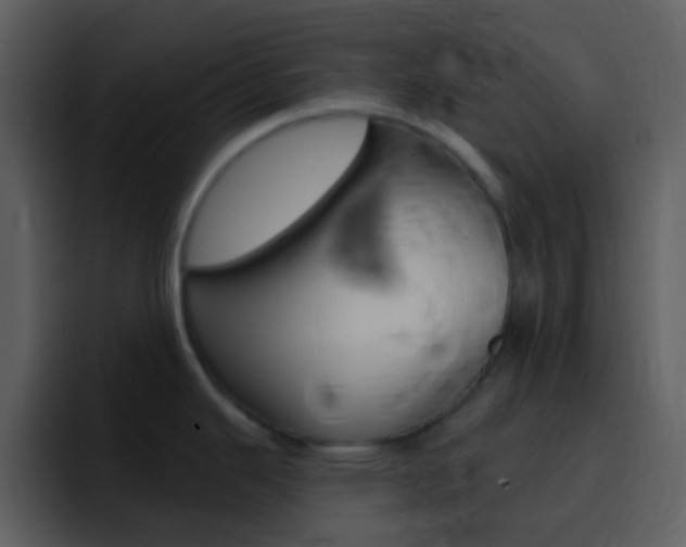 X0000096991343200802080912