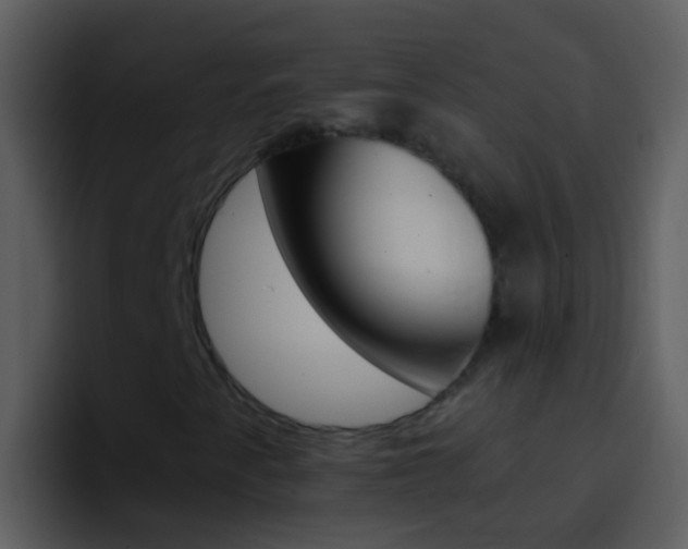 X0000096991345200802080911