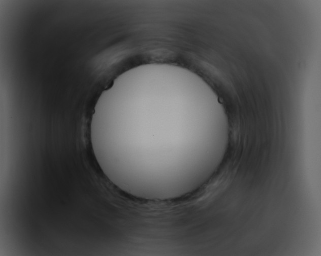 X0000096991346200802080911