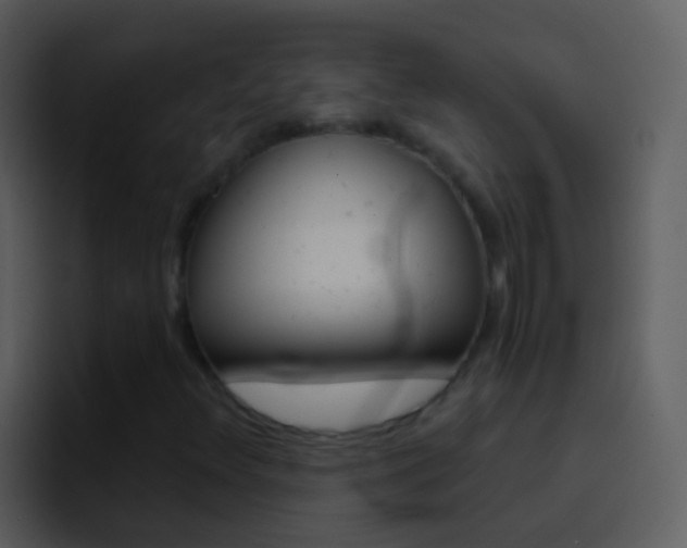 X0000096991348200802080911