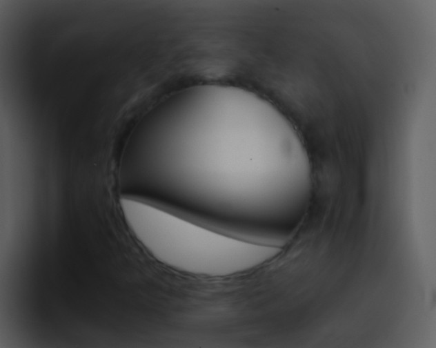 X0000096991349200802080911