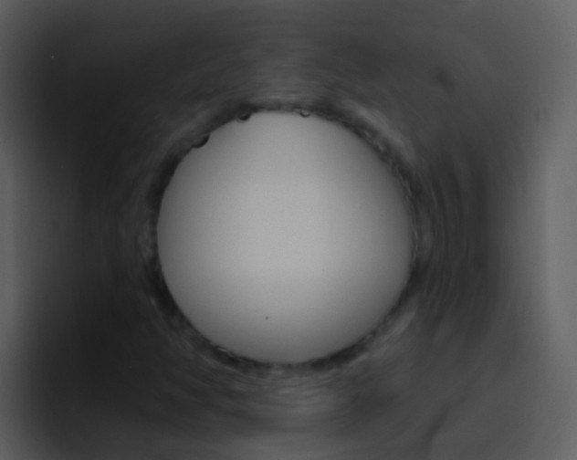 X0000096991350200802080911