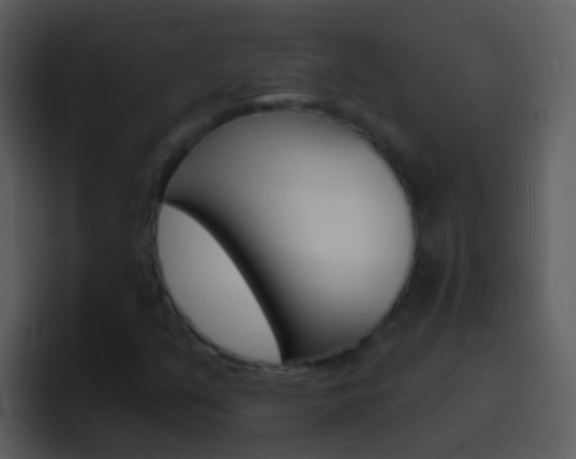 X0000096991351200802080911