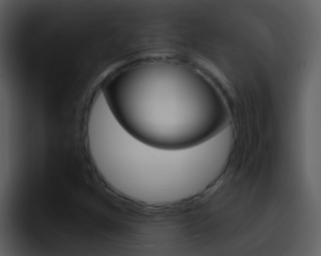 X0000096991352200802080911