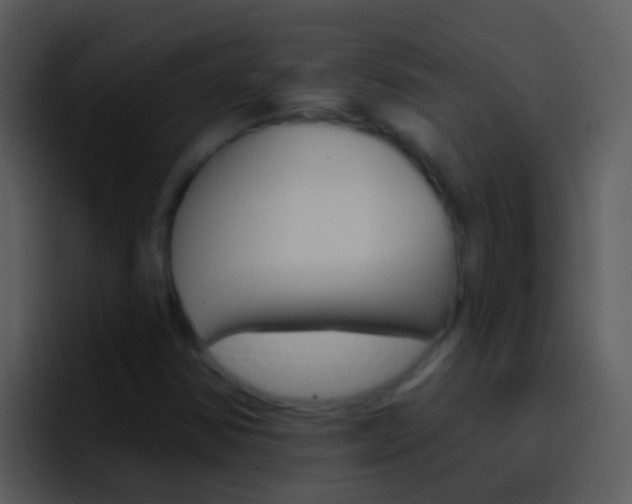 X0000096991354200802080911