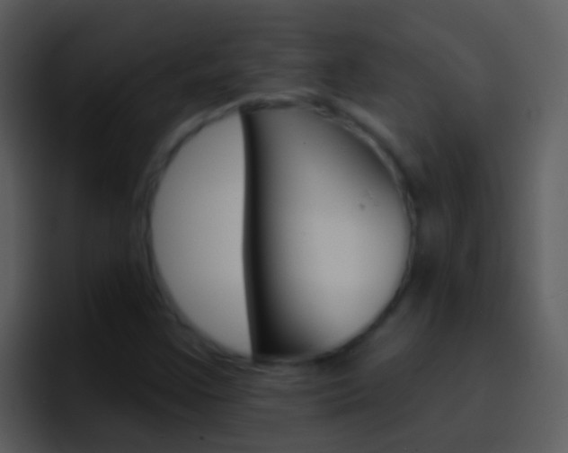 X0000096991355200802080911