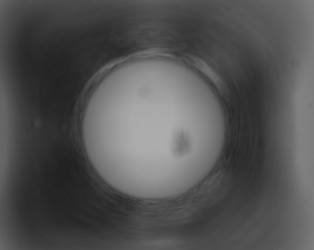 X0000096991356200802080911