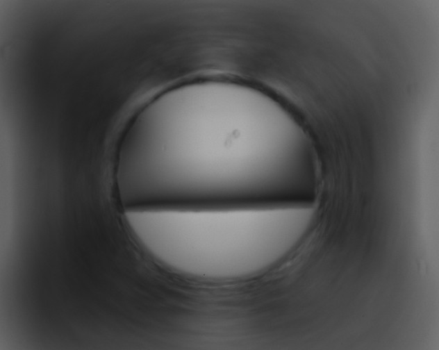 X0000096991359200802080911