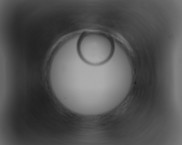 X0000096991360200802080911