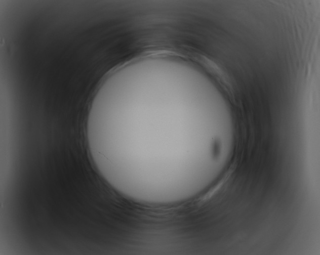 X0000096991361200802080911