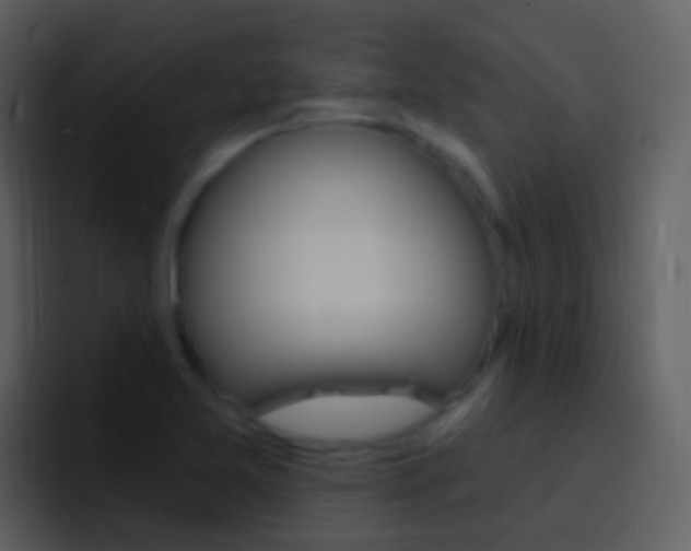 X0000096991365200802080911