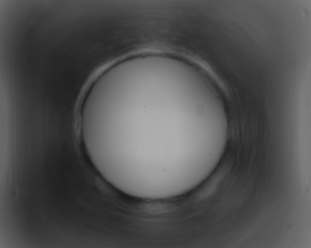 X0000096991366200802080911
