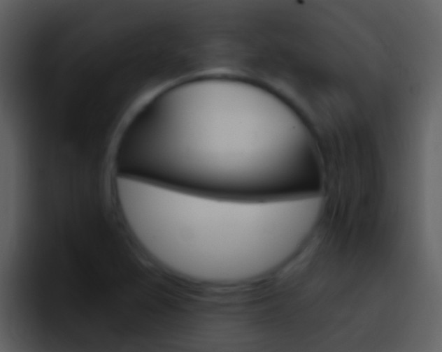X0000096991367200802080911