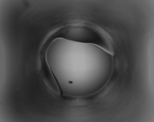 X0000096991368200802080911