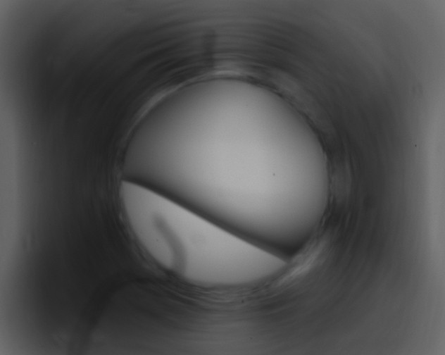 X0000096991369200802080911