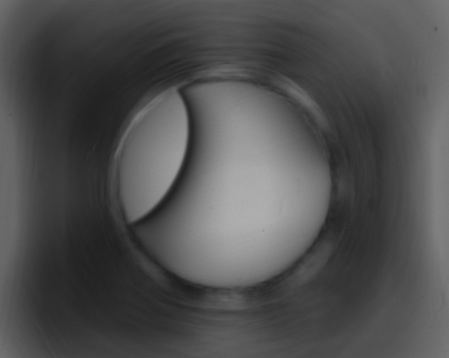 X0000096991370200802080911