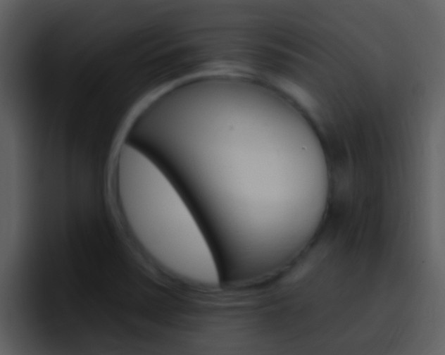 X0000096991371200802080911