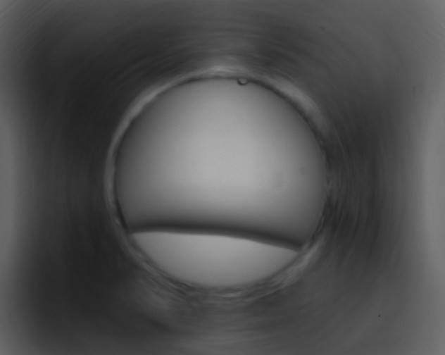 X0000096991374200802080911