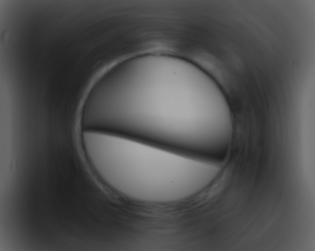 X0000096991375200802080911