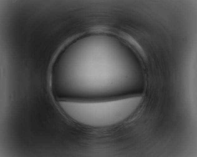 X0000096991376200802080911