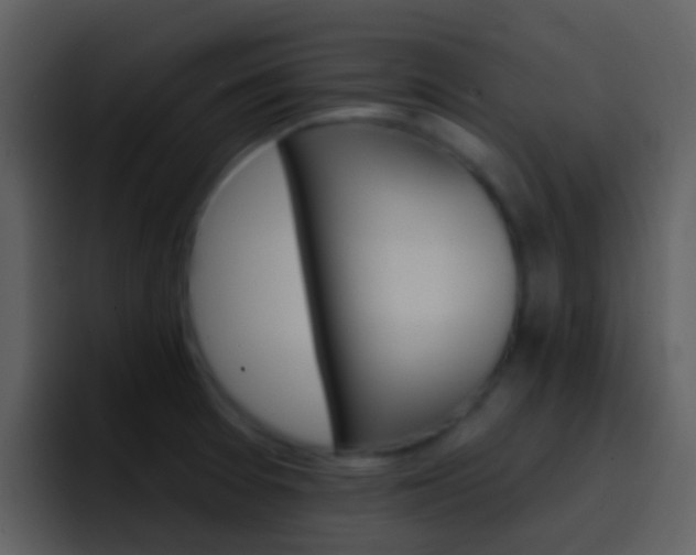 X0000096991377200802080911