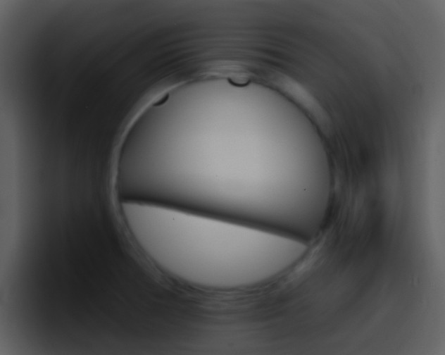 X0000096991378200802080911